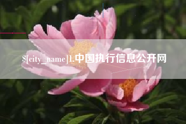洛阳1.中国执行信息公开网