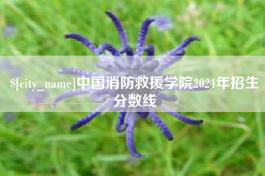 洛阳中国消防救援学院2024年招生分数线