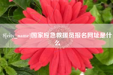 洛阳国家应急救援员报名网址是什么