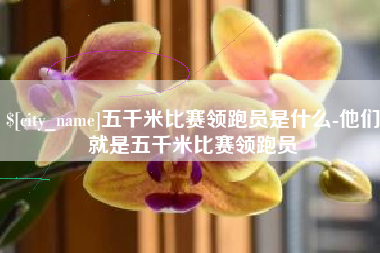 洛阳五千米比赛领跑员是什么-他们就是五千米比赛领跑员