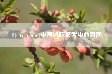 洛阳中国消防报考中心官网