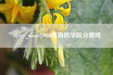 洛阳2020年消防学院分数线
