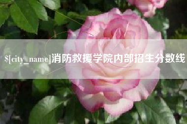 洛阳消防救援学院内部招生分数线