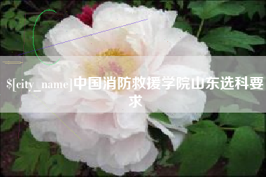 洛阳中国消防救援学院山东选科要求