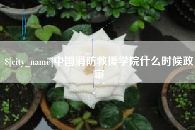 洛阳中国消防救援学院什么时候政审