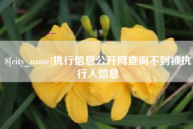 洛阳执行信息公开网查询不到被执行人信息