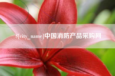 洛阳中国消防产品采购网