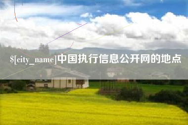 洛阳中国执行信息公开网的地点