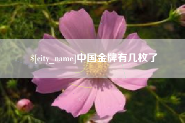 洛阳中国金牌有几枚了