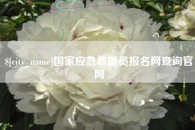 洛阳国家应急救援员报名网查询官网