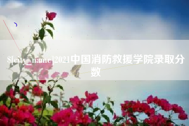 洛阳2021中国消防救援学院录取分数