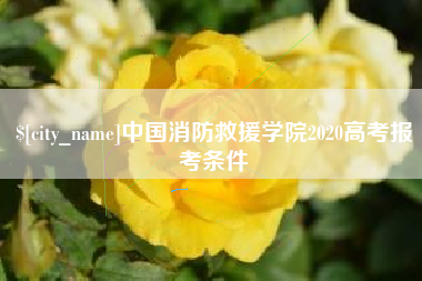 洛阳中国消防救援学院2020高考报考条件