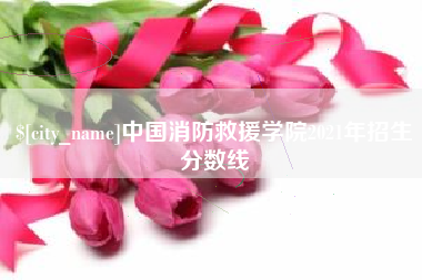 洛阳中国消防救援学院2021年招生分数线