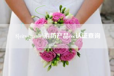 洛阳消防产品ccc认证查询