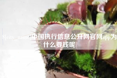 洛阳中国执行信息公开网官网app为什么要钱呢