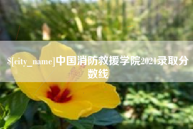 洛阳中国消防救援学院2021录取分数线