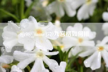 洛阳579九宫格如何排