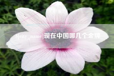 洛阳现在中国哪几个金牌