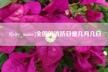 洛阳全国的消防日是几月几日