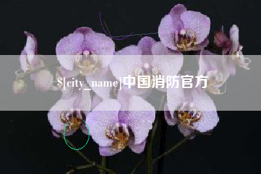 洛阳中国消防官方