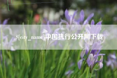 洛阳中国执行公开网下载