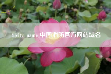 洛阳中国消防官方网站域名