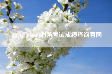 洛阳消防考试成绩查询官网