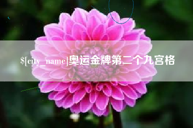 洛阳奥运金牌第二个九宫格