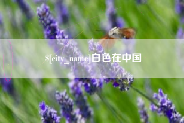 洛阳白色在中国