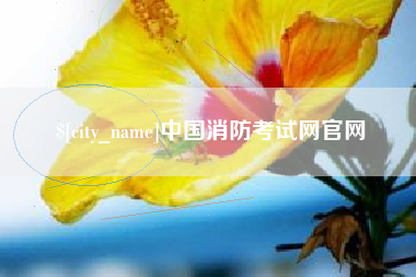 洛阳中国消防考试网官网