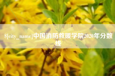 洛阳中国消防救援学院2020年分数线