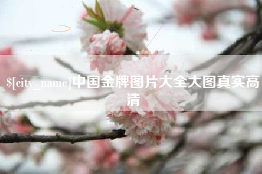 洛阳中国金牌图片大全大图真实高清