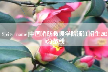 洛阳中国消防救援学院浙江招生2020分数线
