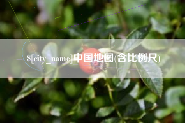 洛阳中国地图(含比例尺)