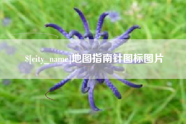 洛阳地图指南针图标图片