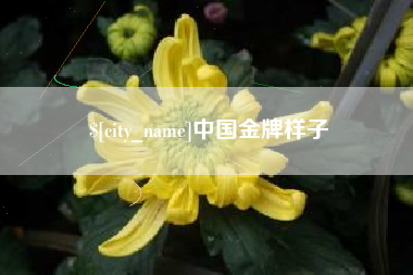 洛阳中国金牌样子