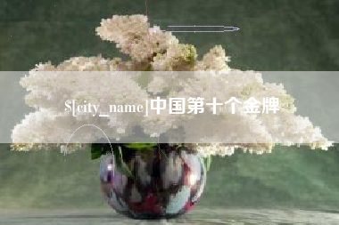 洛阳中国第十个金牌