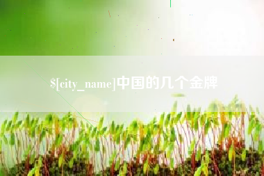 洛阳中国的几个金牌