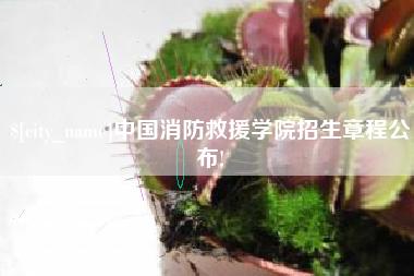 洛阳中国消防救援学院招生章程公布!