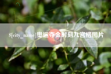 洛阳奥运夺金时刻九宫格图片