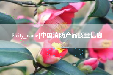 洛阳中国消防产品质量信息