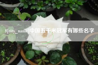 洛阳中国五千米冠军有哪些名字