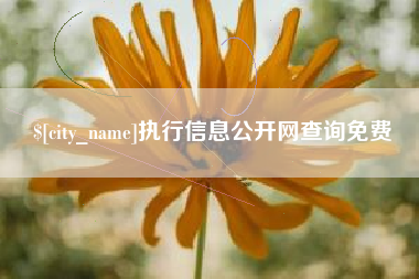 洛阳执行信息公开网查询免费