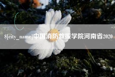 洛阳中国消防救援学院河南省2020